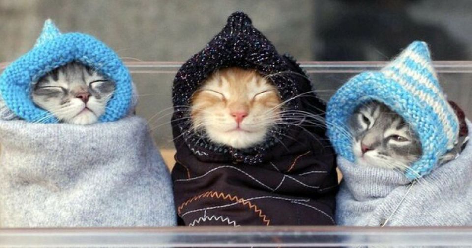 ����������! �� ���������� ���� ��������� ���ѻ � ������������ � ������ � 29 ������ �� 2 ������� ��������� �����������