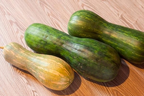 ����� ���������: ������� ��������� ����������� � �������� ��������