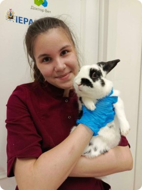 ����� ���������� �������� ������������� ��������������� ������� � ����� ��������