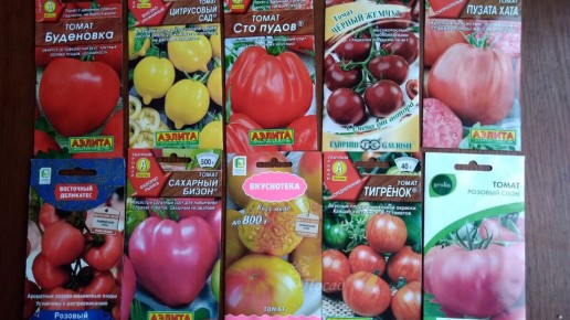 Почему гибриды томатов стоит рассматривать с осторожностью?