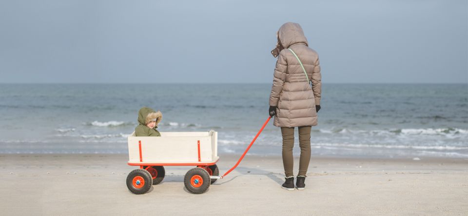 �������������� �����: ��� ���� �������� ��������������� �������� ������������ ����������