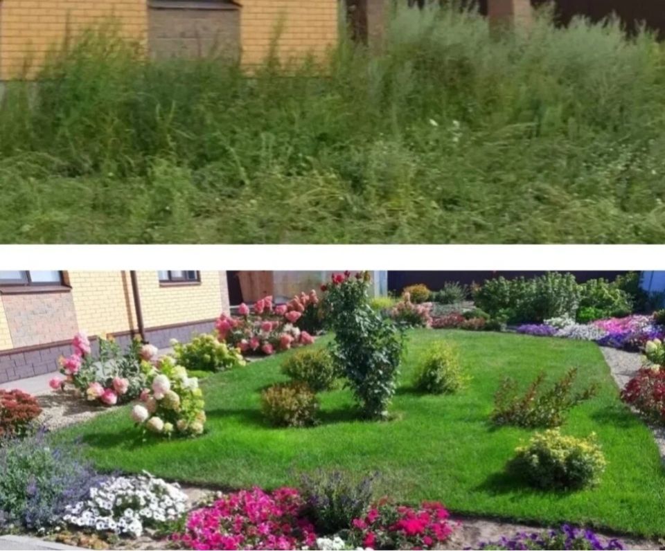 ����� ������ � ���������: ��� ������� ��������� �������