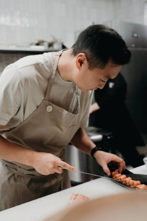 ������� ������ ����� Shiba: ���������������� �����������