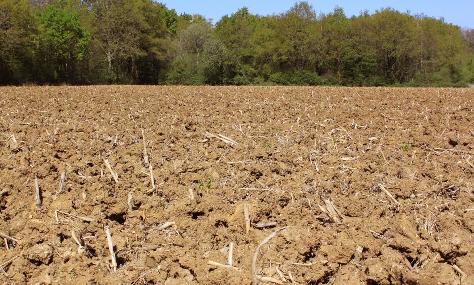 ����� �� ������ ��������!. � ���������� ������ 25 ���������� ��������������� ���������� � ��������������� � ����������� �� ��, ��� �� ����� ��������� � ������� ���������