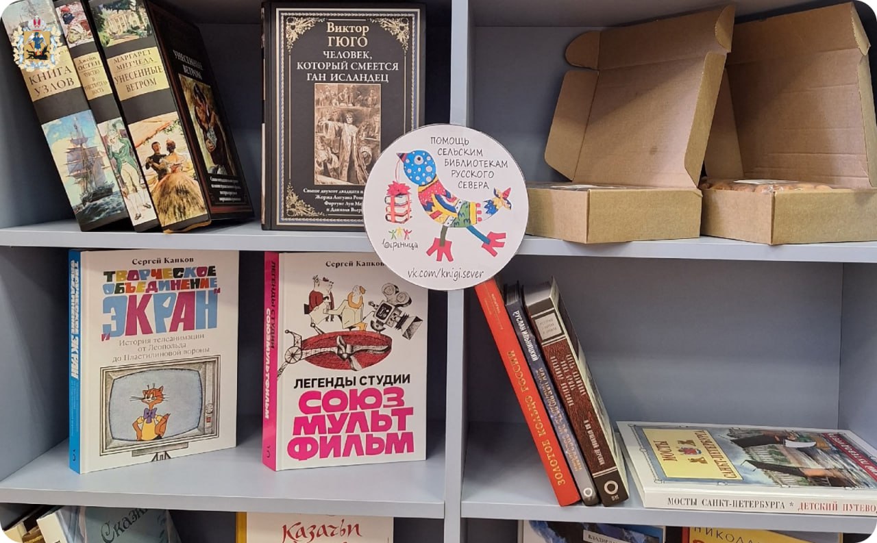 Новое пространство для развития: в Устьянах работает первая модельная библиотека Новое пространство для развития: в Устьянах работает первая модельная библиотека