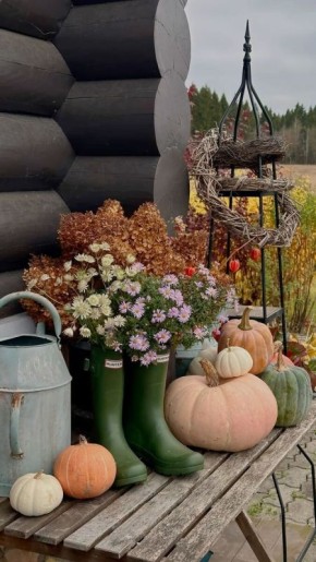 Как правильно подготовить сад к зиме: советы по осенней уборке