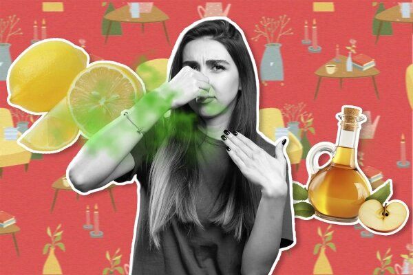 ������� ������� �������� ������ � �������� ��� ����� �� 10 �����