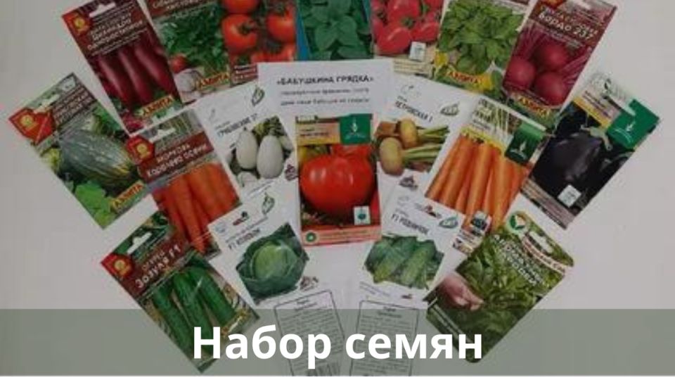 ��� ������� ������: ������ ��� ���������� �����������