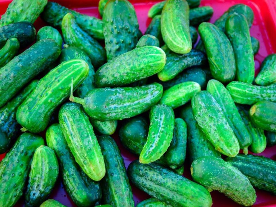 ������ � ����: ��� ��������� ������� ����� ��� ���������� �����