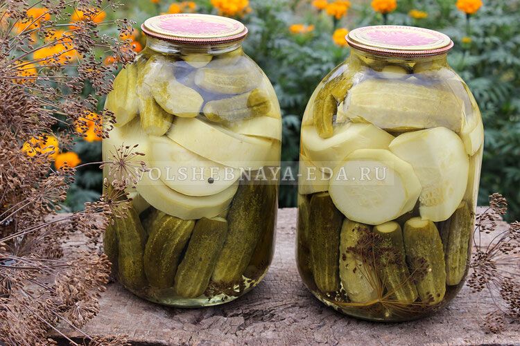 ������� ����: ������������ ������ � ��������� ��� ������������