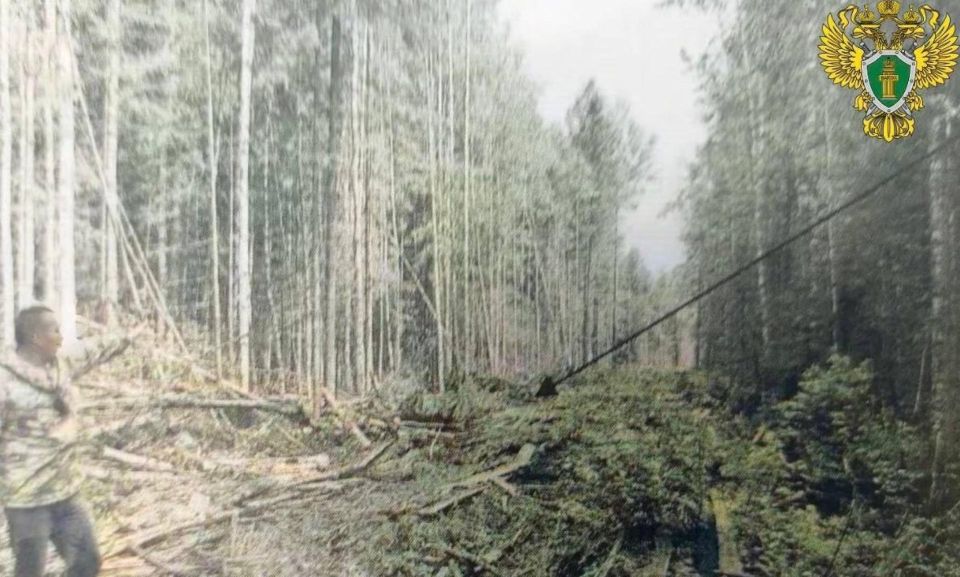 � ��������� �������� ���������������, ������������� ���������� ���������, �������� � ���, ��� ��� �������� ������� ����� ������� ����� �� ����� ����� ������������ ������