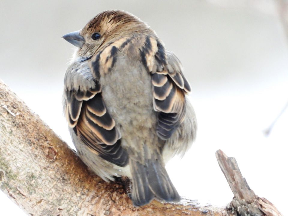 ��������� ��������?. �����-����� ������ ������ ����� ���������� ������� ������������� ������� ������� ������� �� ������������� ����� �� �������� �������� �������� �� �������