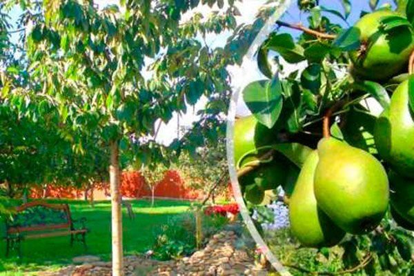 ����� ����� �����: ����������� � ������������ ����������� �����