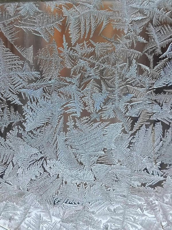 Хрустальная фантазия: таинственные морозные рисунки на стекле запечатлела Наталья Медведкова