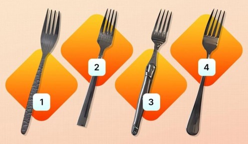 ��� ����� ����� ����� �������� ���� ��������: ����������������� ����