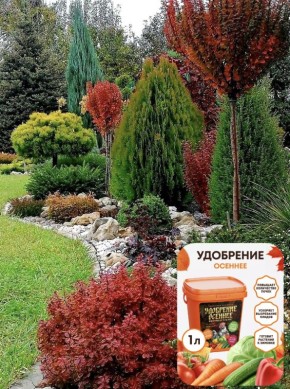 ��� ��������� ������������� �������� ������: ������ �� ���� ������������