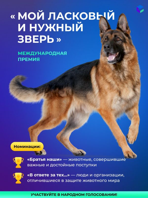 ������ ������� ����� ���������� ������ ������������� ������ ���� �������� � ������ ������