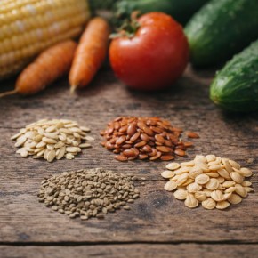 ������� ��������: ������ ���� ������ ����������� ��������