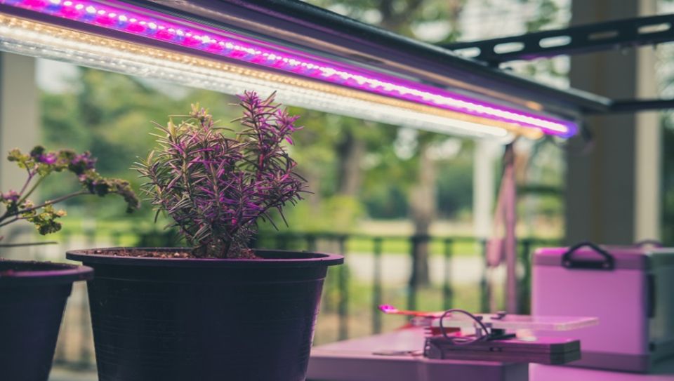 ��������� ������������ ����������: ��� ������� ��� ����� ��������