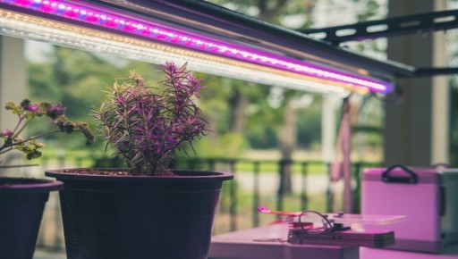 ��������� ������������ ����������: ��� ������� ��� ����� ��������