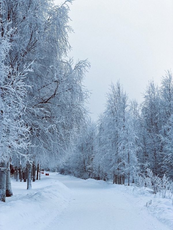 ����������� ������������. ���������� ����� ���������