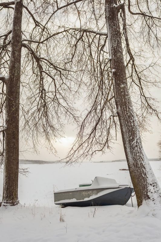 ����� � ������ ���������. �������������� ���������� ������� ���������