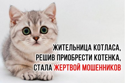 � ������� ������� � ���������� � ������������� ���������� ������� ���������� 1972 �.�