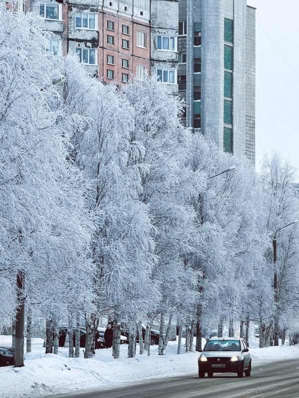 ����������� ������������. ���������� ����� ���������