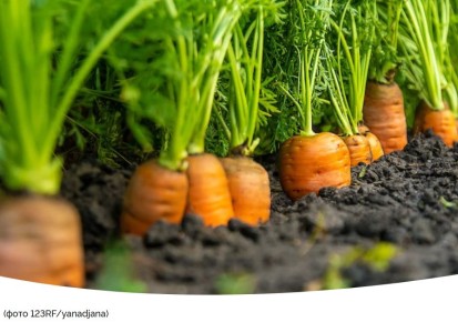 ����� ������� � ���: ������� ��������� ������ � ����� �����