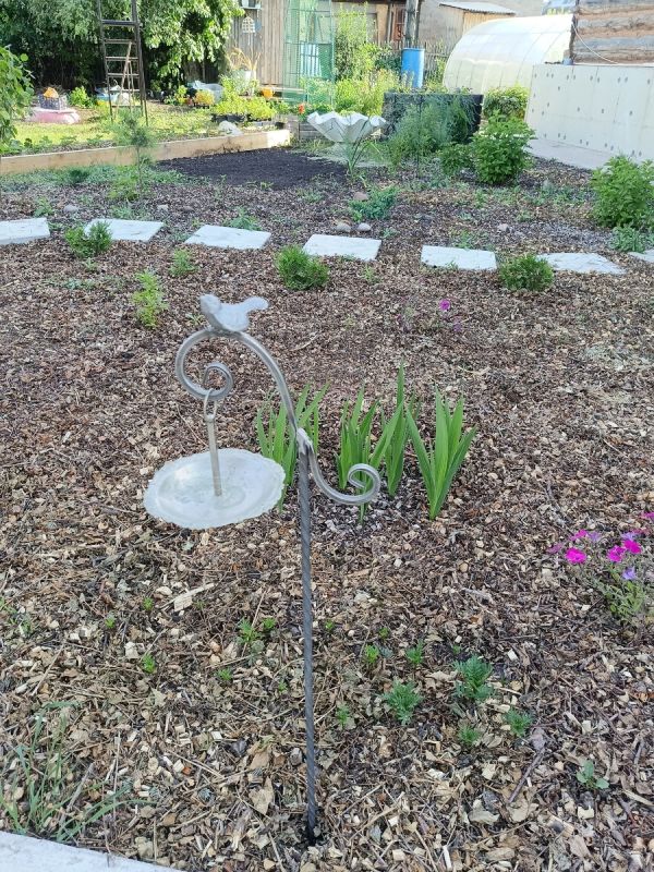 ��������� �������� ����� ��� ����: ��� ���������� � ��������