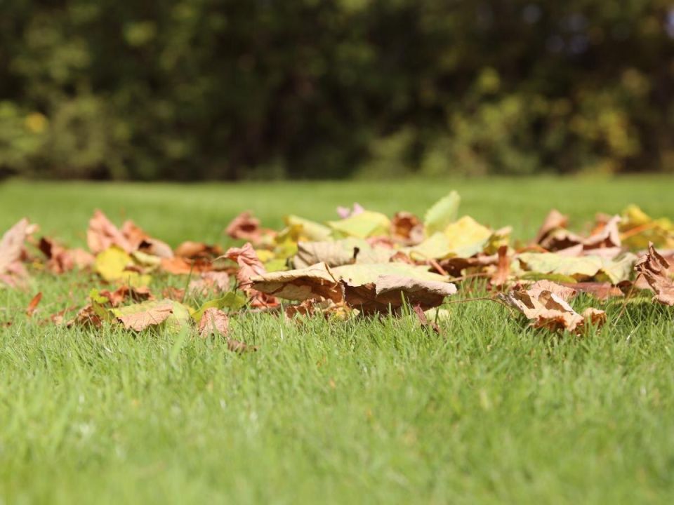 ������ ����� � ������ ����� ��� ������ �����: ������ �� ����� �� �������