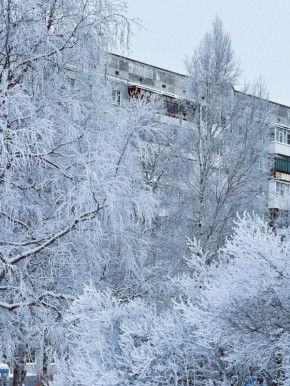 ����������� ������������. ���������� ����� ���������