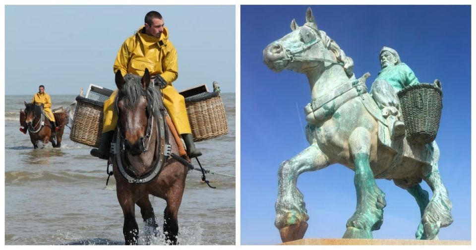 ���������� �������� ����� �������� ������ � ������������