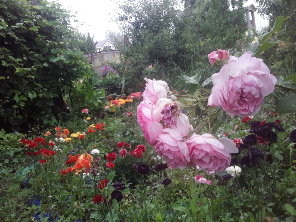 ������������� ���: ������ �� �������� ���������� ��������� ����������