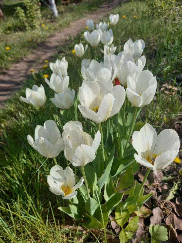 ������� ������ ������������ ������ ��� ������ ����