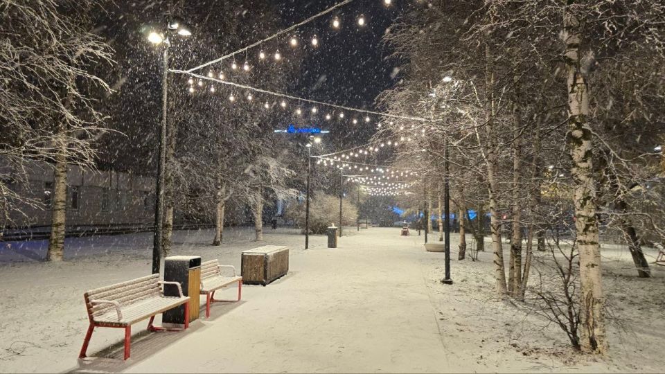 ������� ����� ��������� ���� ������� ����� �� ��������� ������ ���������� ��������