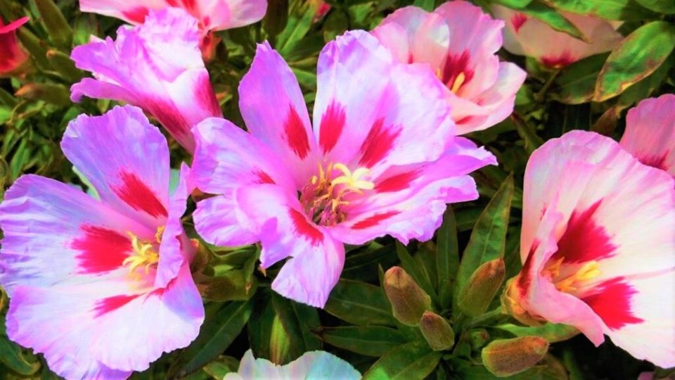 ��� ������� ������ ����� �������� � ����� ���� �� ����� �����