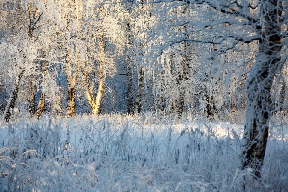 �� ����� �� ���������� � ���� ��������, ������� ���������� ������ ������