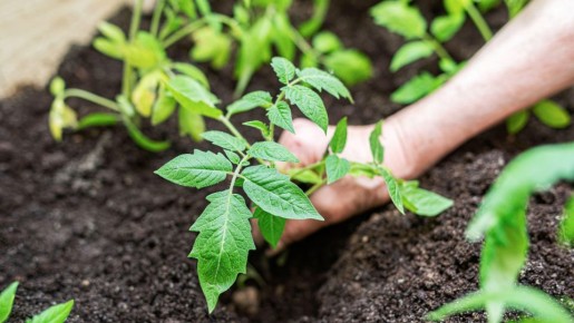 ��� ��� ������ ������ � ����� ����� �������� �������: ���������� ��� ������