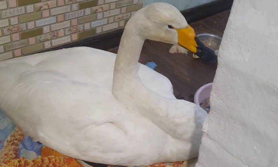 �������, �� ������� ������� �� ���� ���� � ����� ����� �����