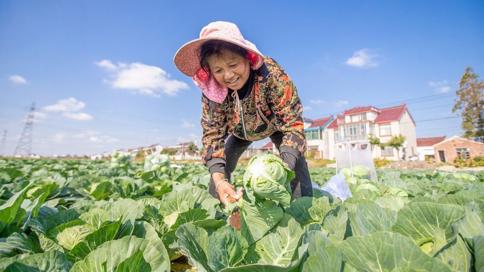 ������ ������ ����������� ��� ������: �������� �� ��� 3 ��������