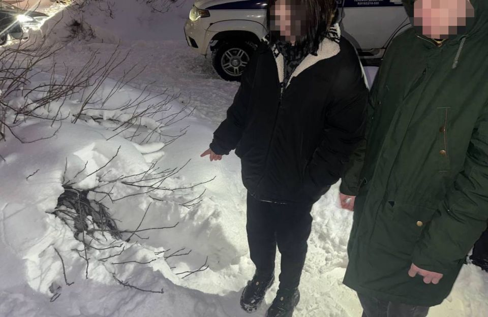 ������������ ������ ������������ ��������� ������������� � �����������������