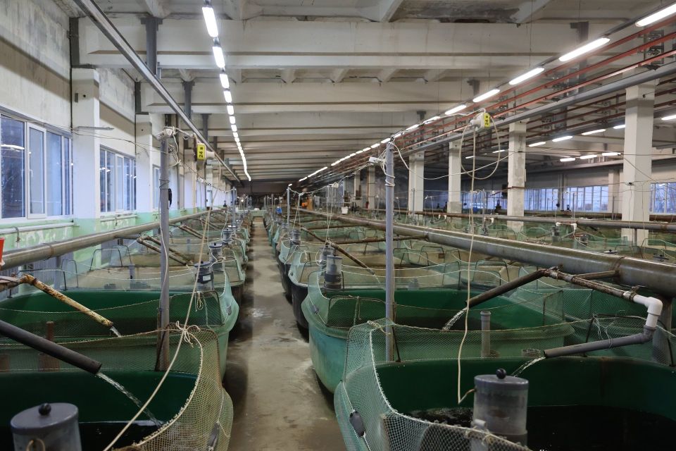 � ���� ����� ��������� 21 ������ ����������� ������ �����