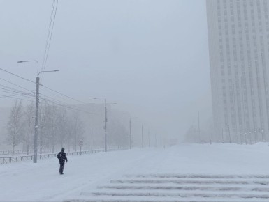 �������� � ������������ � ��������� ������ �����������