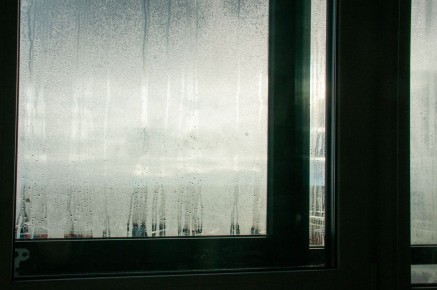 ��� � ������������� ������ � ��� � ����: ����������� ��������� ������� ������ � ��������� ������������ ���