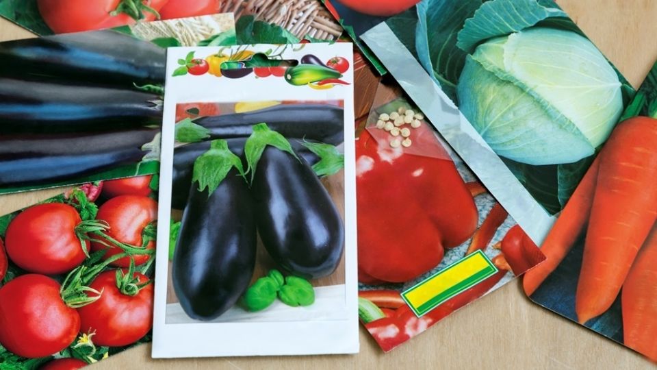 ��� ������� ����������� ����� ������ ��� ������ 2026 � ����� ��� �����