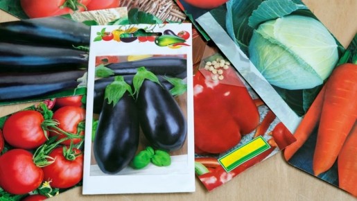 ��� ������� ����������� ����� ������ ��� ������ 2026 � ����� ��� �����