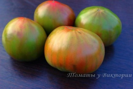 ���� �������� �����: ���������� ����� � ����� �������� � �������� �������