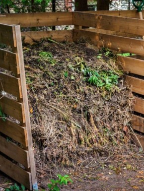 �������� ����� ������� ������