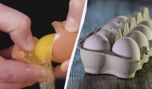 ��������� ������ ��������� ����: ������� ����, � ������� �� �� �����